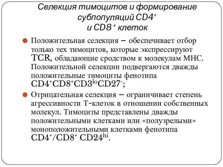 Селекция тимоцитов и формирование субпопуляций CD4+ и CD8 + клеток