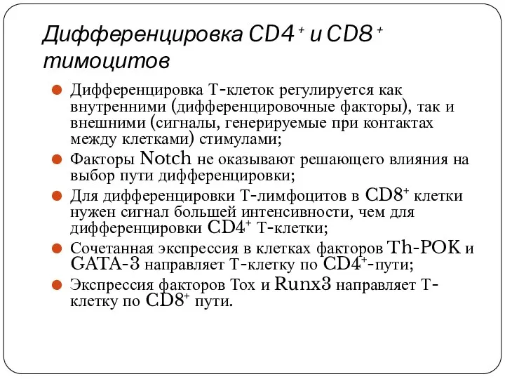 Дифференцировка CD4 + и CD8 + тимоцитов Дифференцировка Т-клеток регулируется
