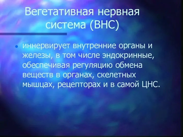 Вегетативная нервная система (ВНС) иннервирует внутренние органы и железы, в