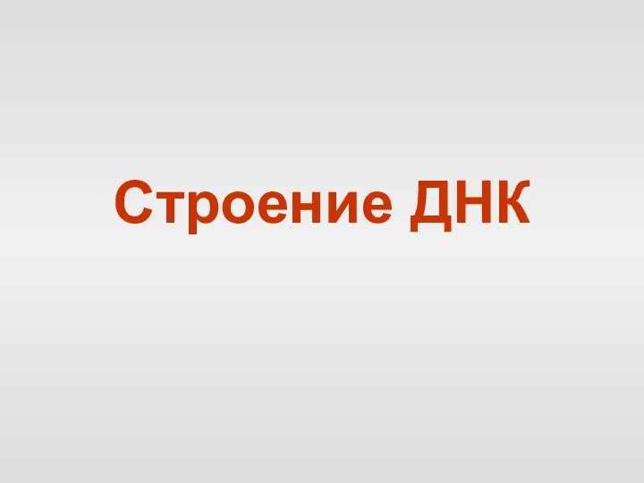 Строение ДНК