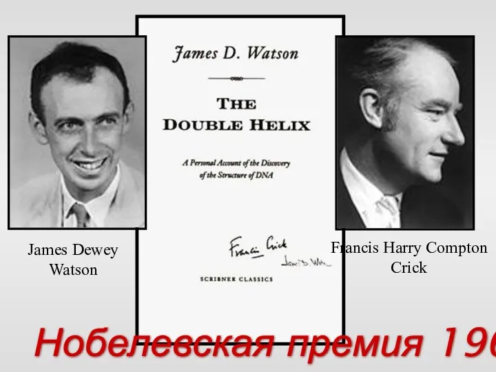 Francis Harry Compton Crick James Dewey Watson Нобелевская премия 1962
