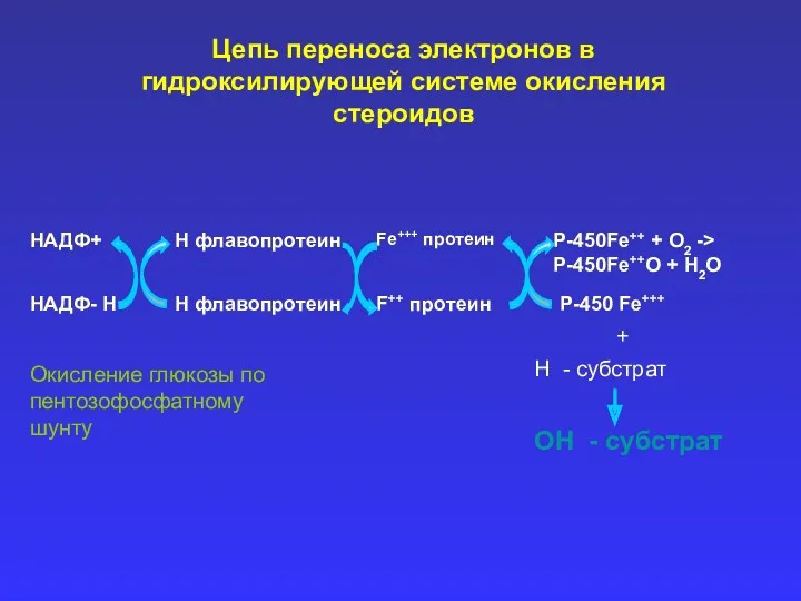 Цепь переноса электронов в гидроксилирующей системе окисления стероидов НАДФ+ НАДФ-