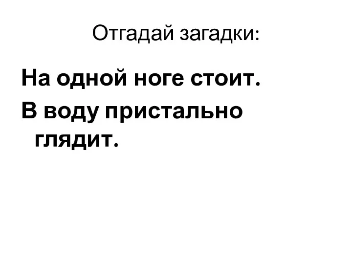 Отгадай загадки: На одной ноге стоит. В воду пристально глядит.