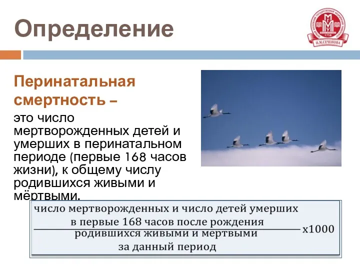 Перинатальная смертность – это число мертворожденных детей и умерших в