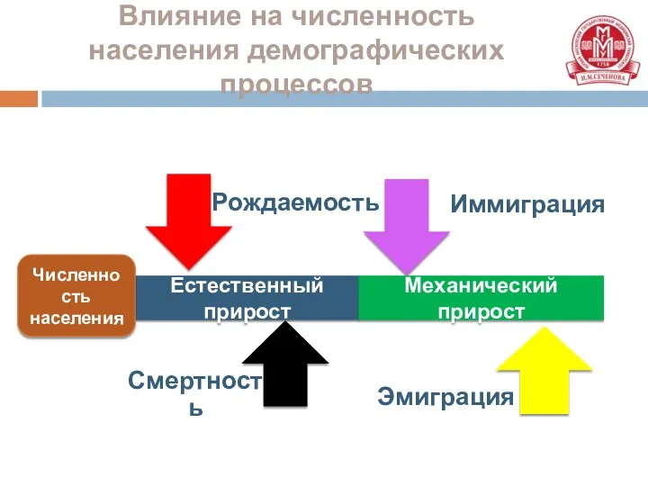 Влияние на численность населения демографических процессов Естественный прирост Механический прирост Численность населения