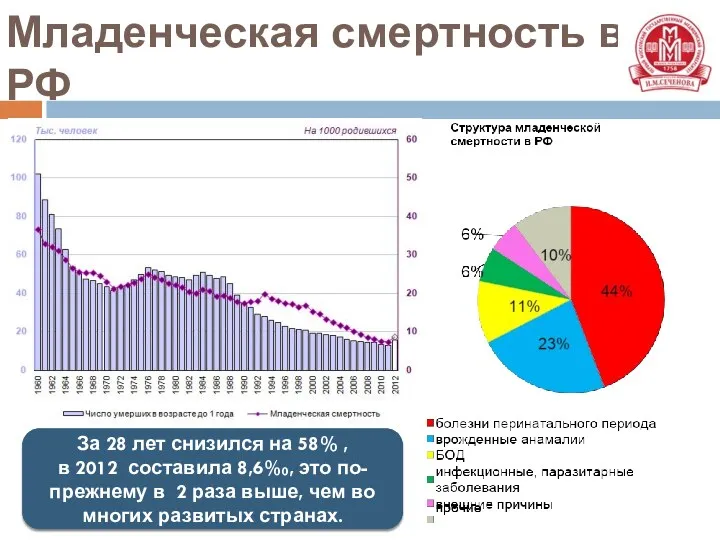 Младенческая смертность в РФ За 28 лет снизился на 58%