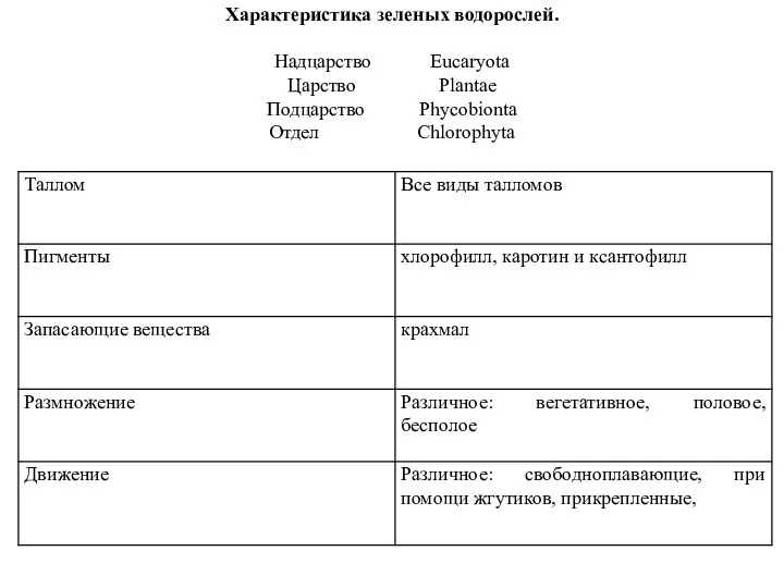 Характеристика зеленых водорослей. Надцарство Eucaryota Царство Plantae Подцарство Phycobionta Отдел Chlorophyta