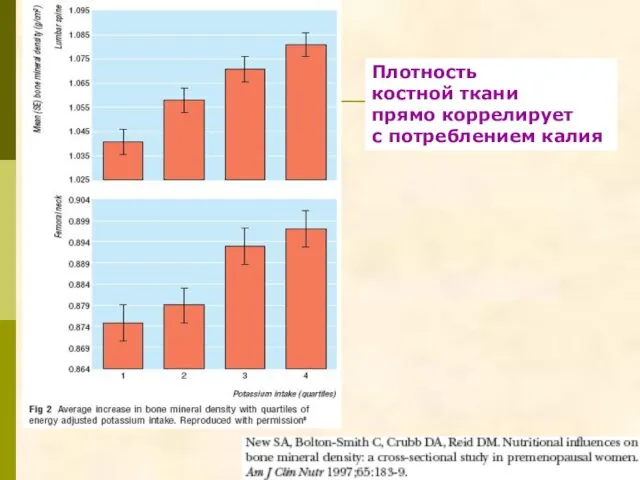 Плотность костной ткани прямо коррелирует с потреблением калия