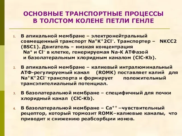 ОСНОВНЫЕ ТРАНСПОРТНЫЕ ПРОЦЕССЫ В ТОЛСТОМ КОЛЕНЕ ПЕТЛИ ГЕНЛЕ В апикальной