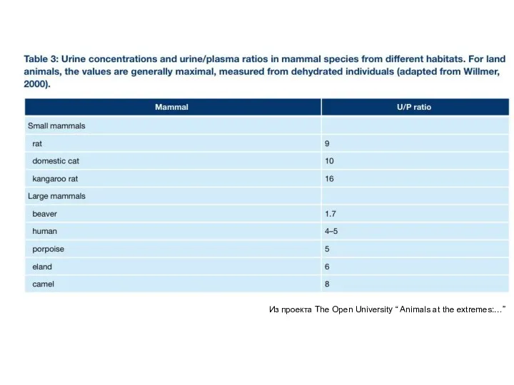 Из проекта The Open University “ Animals at the extremes:…”