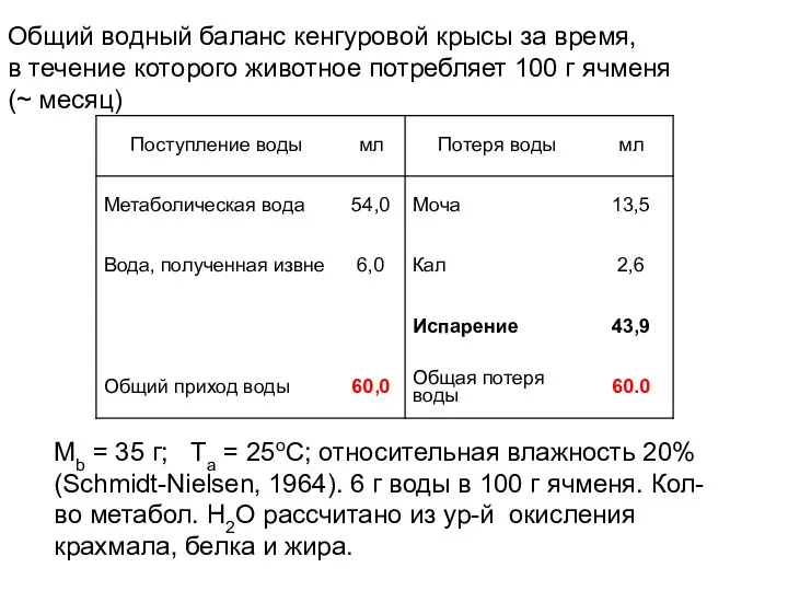 Общий водный баланс кенгуровой крысы за время, в течение которого