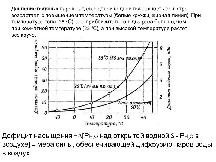 Давление водяных паров над свободной водной поверхностью быстро возрастает с повышением температуры (белые