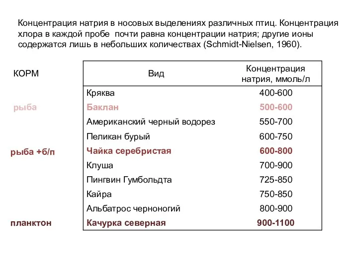 Концентрация натрия в носовых выделениях различных птиц. Концентрация хлора в