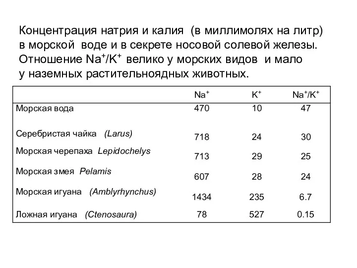 Концентрация натрия и калия (в миллимолях на литр) в морской воде и в