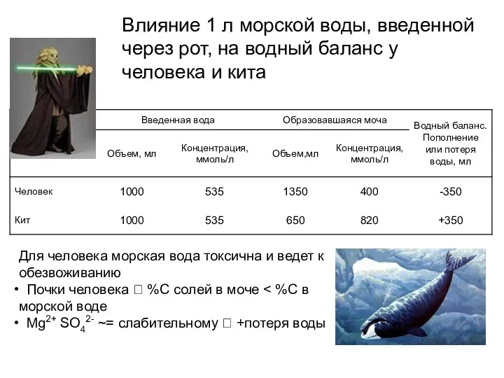 Влияние 1 л морской воды, введенной через рот, на водный