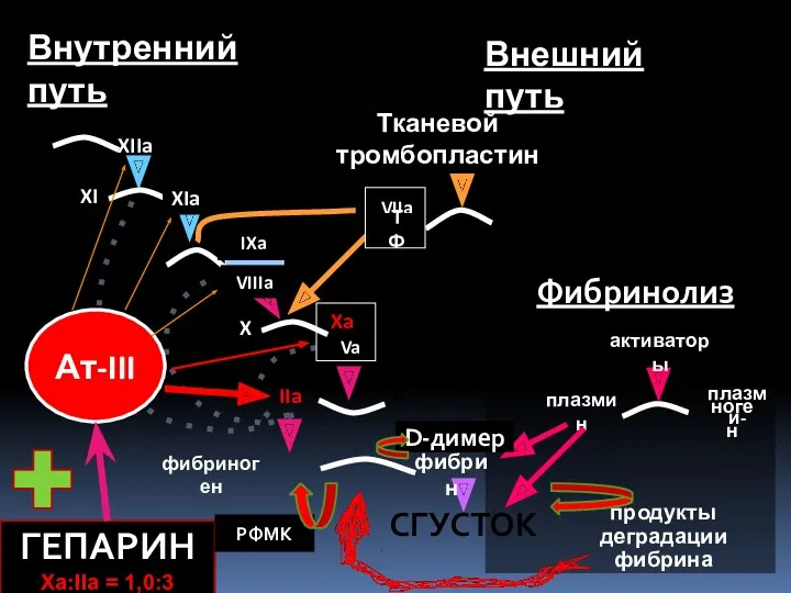 IX IXa VIIIa X Xa Va II IIa VII Тканевой тромбопластин активаторы плазмин