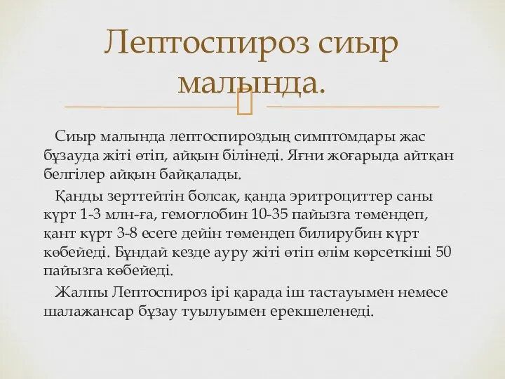 Сиыр малында лептоспироздың симптомдары жас бұзауда жіті өтіп, айқын білінеді.