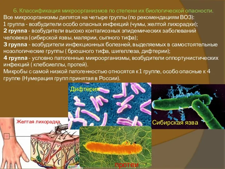 6. Классификация микроорганизмов по степени их биологической опасности. Все микроорганизмы