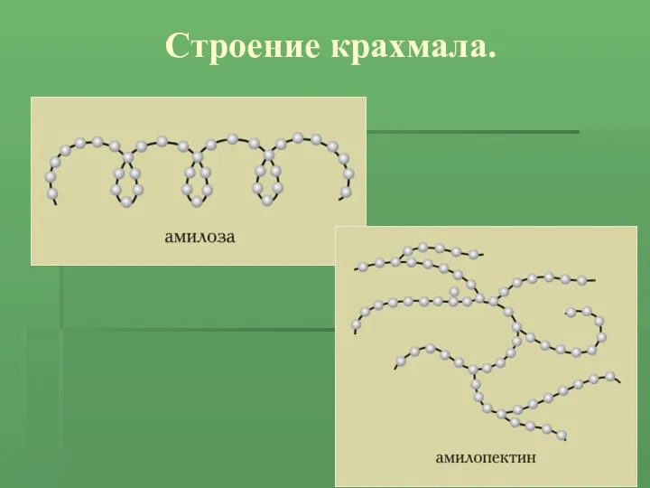 Строение крахмала.