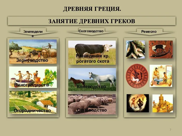 ДРЕВНЯЯ ГРЕЦИЯ. ЗАНЯТИЕ ДРЕВНИХ ГРЕКОВ Земледелие Скотоводство Ремесло Зерноводство Виноградарство Огородничество Разведение кр.рогатого скота Коневодство Овцеводство