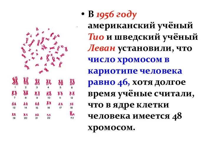 В 1956 году американский учёный Тио и шведский учёный Леван