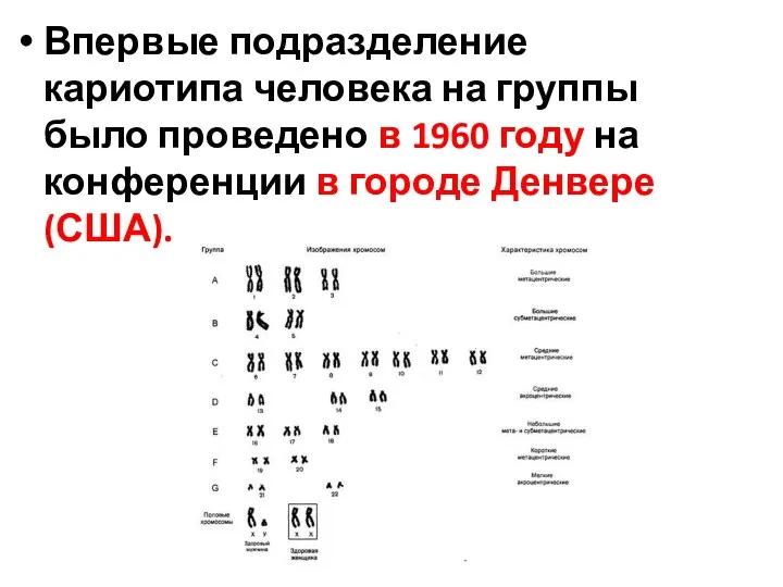 Впервые подразделение кариотипа человека на группы было проведено в 1960