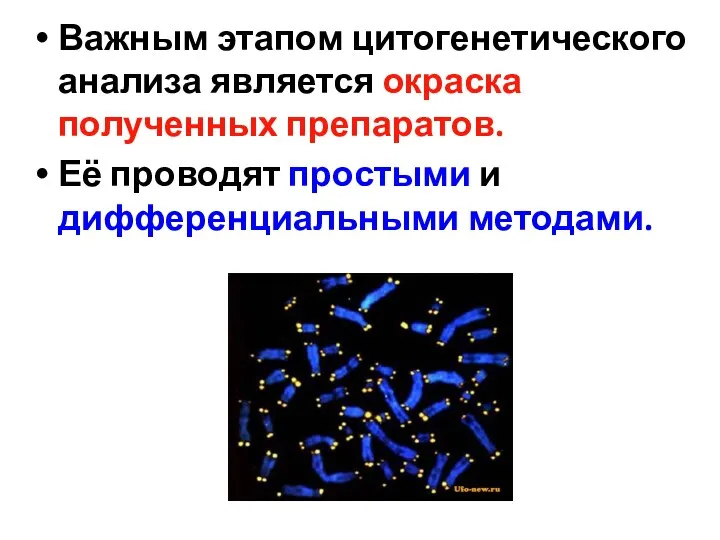 Важным этапом цитогенетического анализа является окраска полученных препаратов. Её проводят простыми и дифференциальными методами.