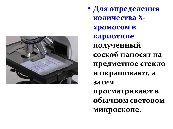 Для определения количества Х-хромосом в кариотипе полученный соскоб наносят на