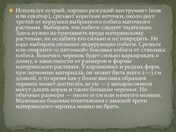 Используя острый, хорошо режущий инструмент (нож или секатор), срезают короткие