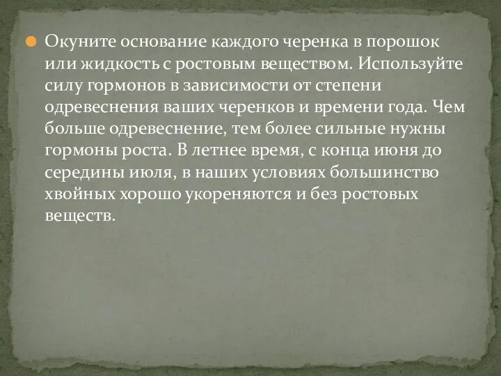 Окуните основание каждого черенка в порошок или жидкость с ростовым