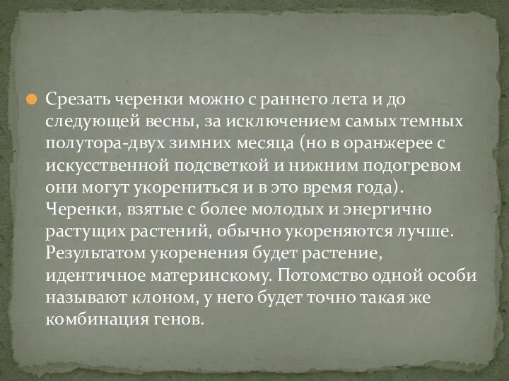 Срезать черенки можно с раннего лета и до следующей весны,