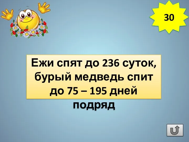 Какое млекопитающее проводит самое длительное время в состоянии спячки без