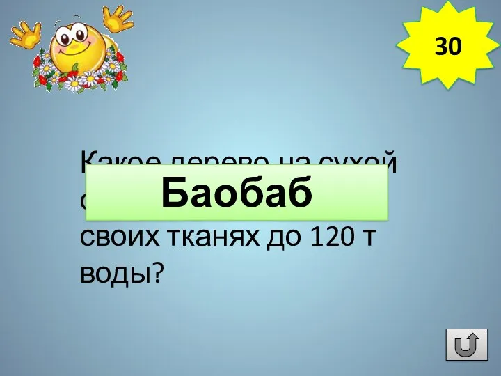 Какое дерево на сухой сезон накапливает в своих тканях до 120 т воды? Баобаб 30