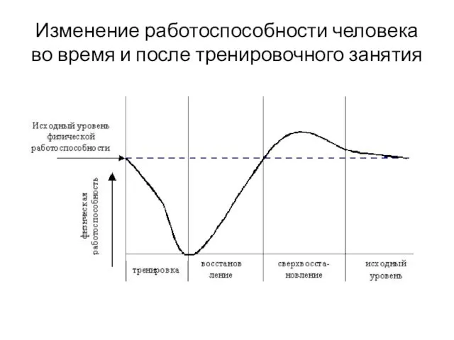 Изменение работоспособности человека во время и после тренировочного занятия