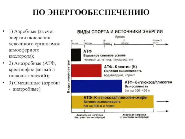 ПО ЭНЕРГООБЕСПЕЧЕНИЮ 1) Аэробные (за счет энергии окисления усвоенного организмом