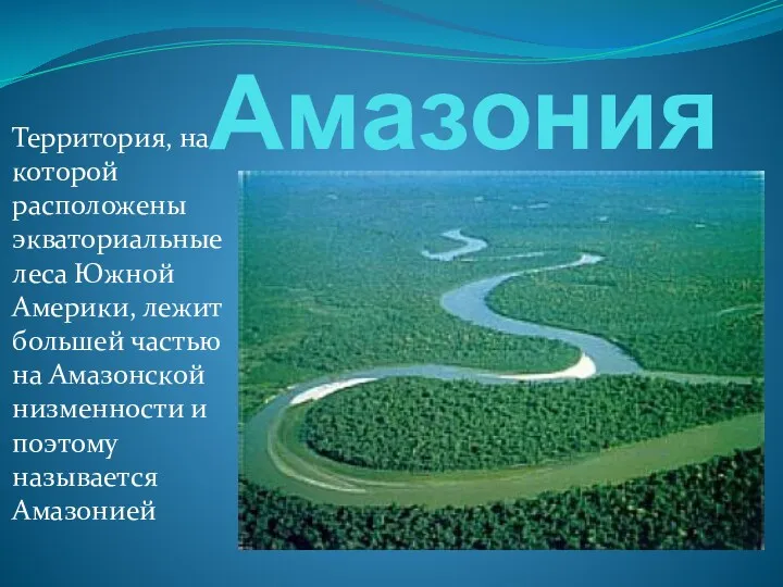 Амазония Территория, на которой расположены экваториальные леса Южной Америки, лежит большей частью на