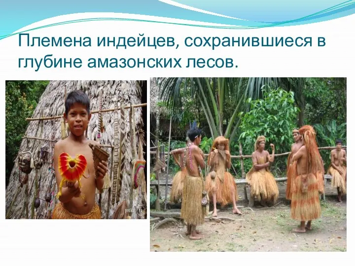 Племена индейцев, сохранившиеся в глубине амазонских лесов.