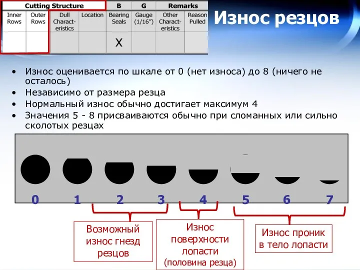 0 1 2 3 4 5 6 7 Износ резцов