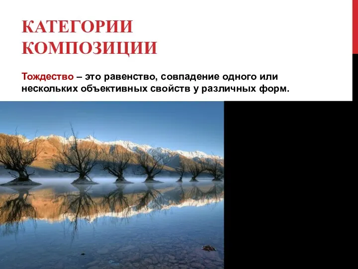 КАТЕГОРИИ КОМПОЗИЦИИ Тождество – это равенство, совпадение одного или нескольких объективных свойств у различных форм.