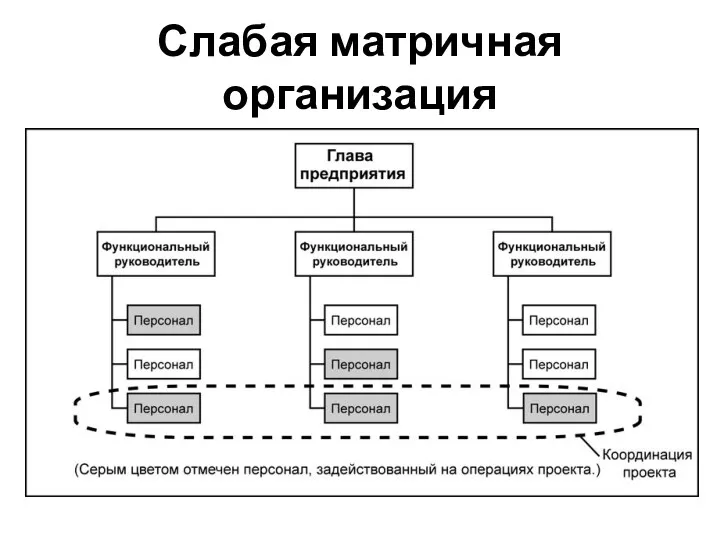 Слабая матричная организация