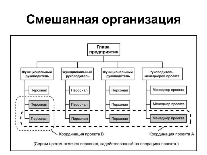 Смешанная организация