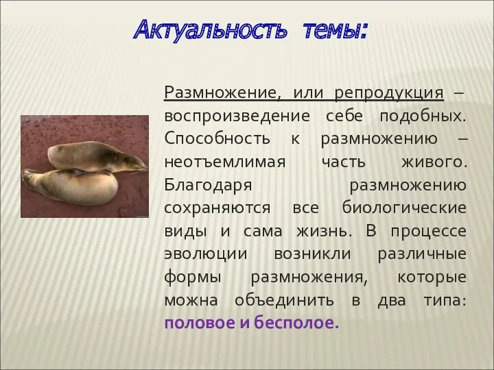 Размножение, или репродукция – воспроизведение себе подобных. Способность к размножению