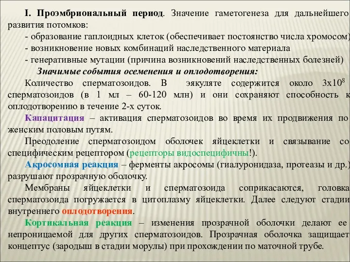 I. Проэмбриональный период. Значение гаметогенеза для дальнейшего развития потомков: -