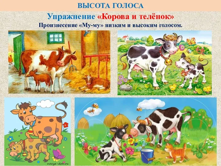 Упражнение «Корова и телёнок» Произнесение «Му-му» низким и высоким голосом. ВЫСОТА ГОЛОСА