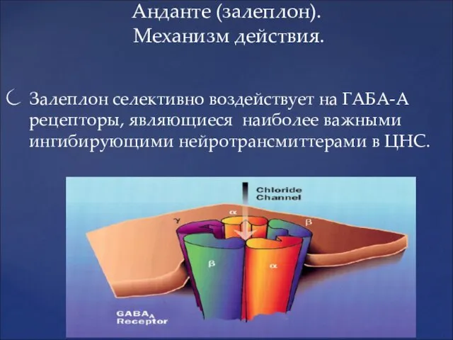 Анданте (залеплон). Механизм действия. Залеплон селективно воздействует на ГАБА-А рецепторы,