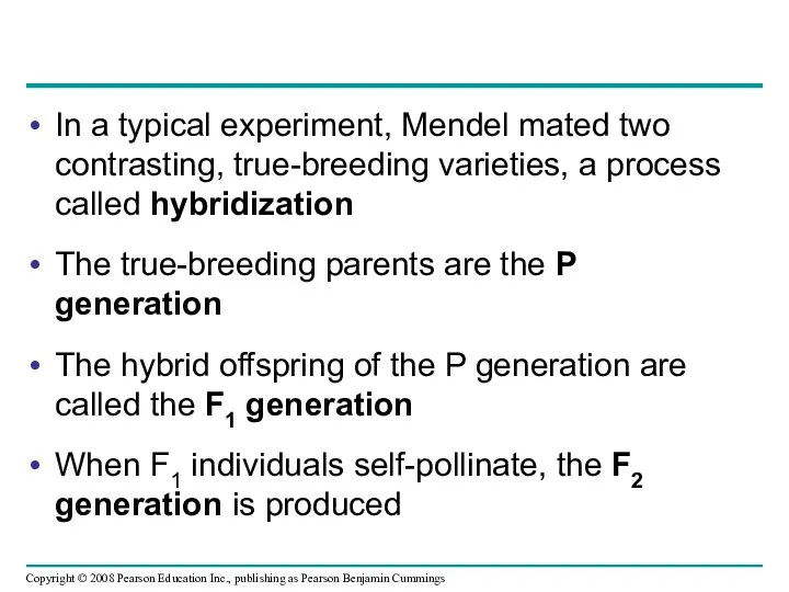 In a typical experiment, Mendel mated two contrasting, true-breeding varieties,
