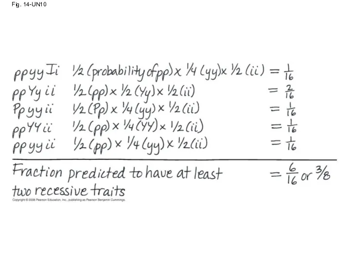 Fig. 14-UN10