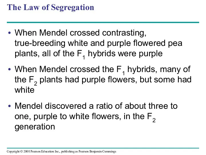 The Law of Segregation When Mendel crossed contrasting, true-breeding white