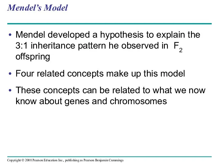 Mendel’s Model Mendel developed a hypothesis to explain the 3:1