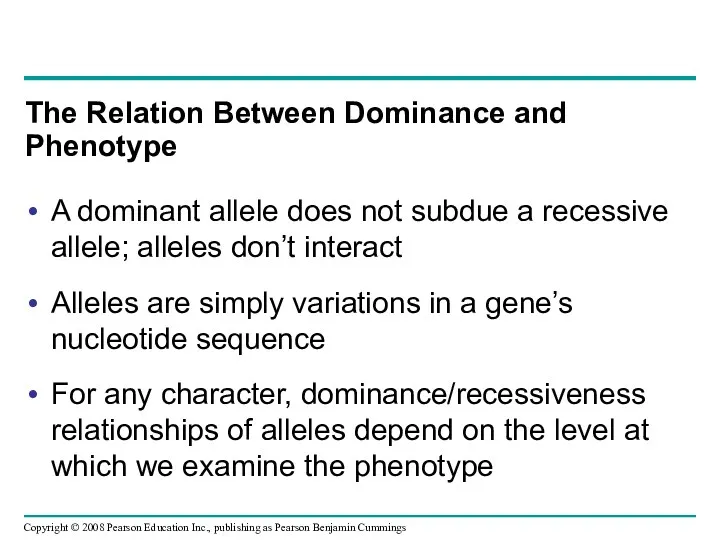 A dominant allele does not subdue a recessive allele; alleles